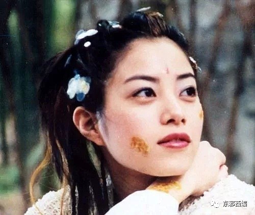 贫民变天后？该女星曾许愿36岁嫁豪门生小孩，如今41岁却频繁去小县城商演（组图） - 13