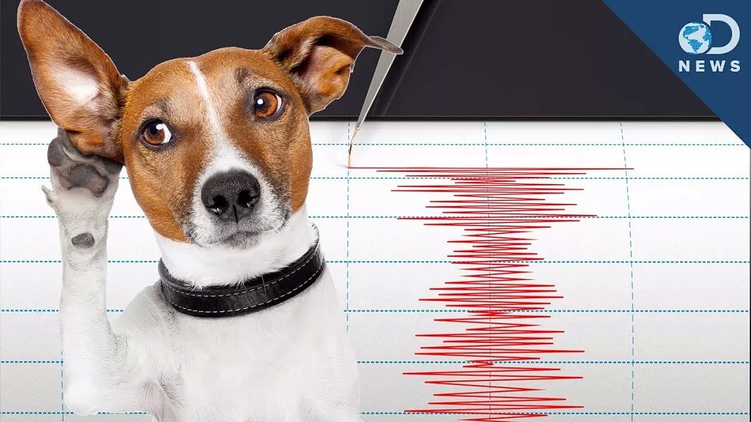 注意！加州25年最强地震后四次大型余震，未来50%几率更大地震！（组图） - 36