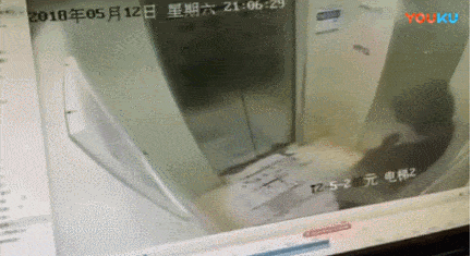 华人在电梯内做了这个行为，惨收$875刀天价罚单！（组图） - 8
