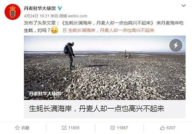 中国吃货不请自来？在海滩捡了50公斤生蚝，结果要被警局调查了（组图） - 3