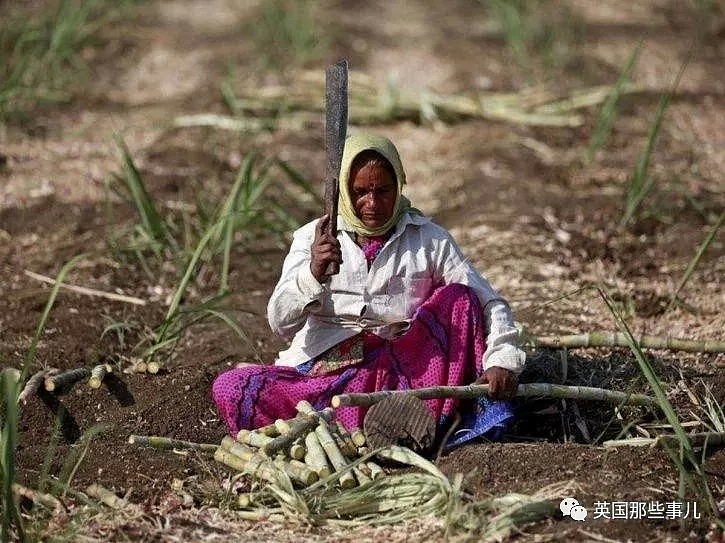 印度成千上百年轻女性，为保住一份微薄工资，选择切除子宫...（组图） - 10