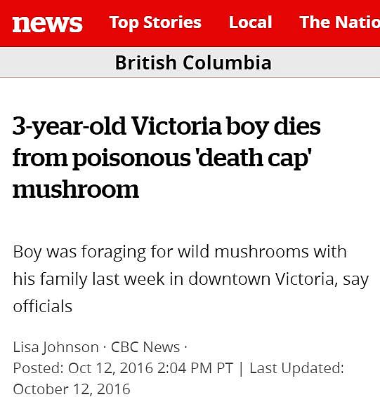 卫生局警告：致命死亡蘑菇在温哥华迅速蔓延！长得像华人爱吃的草菇...（组图） - 12