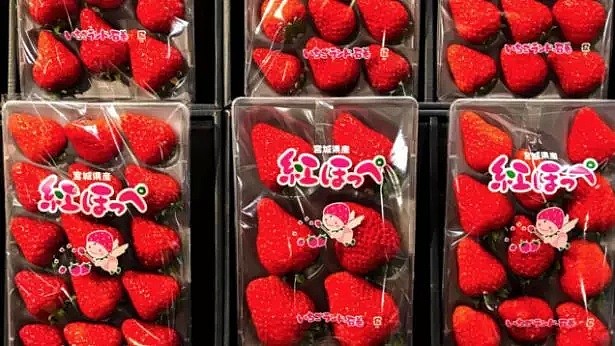 吃货开心啦！香甜多汁的日本奶油草莓即将获准进口澳洲！ - 2
