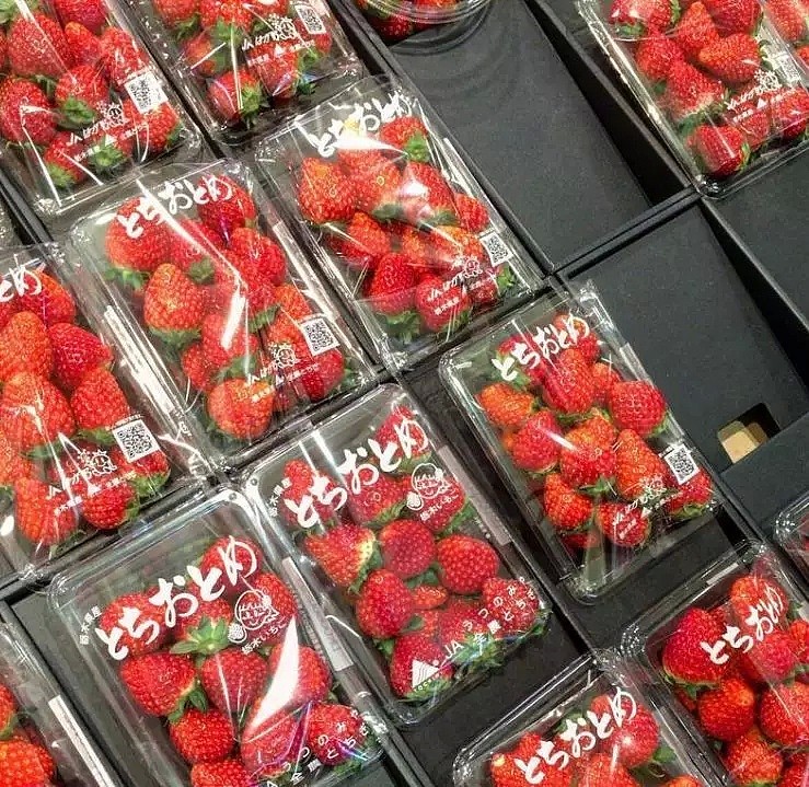 吃货开心啦！香甜多汁的日本奶油草莓即将获准进口澳洲！ - 4