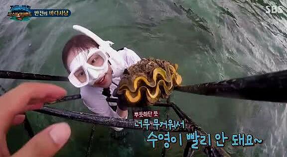 韩国女星在泰国违法捕捉濒危巨型蛤蜊 恐面临最高5年刑期（图） - 1