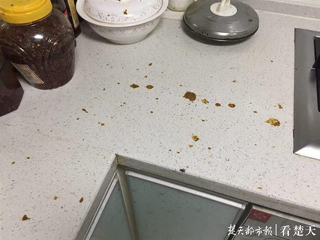 业主在厨房煮粥大便却从天而降 欲验DNA寻找肇事者（组图） - 1