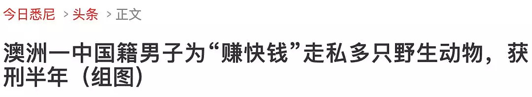 墨尔本华人犯罪团伙非法走私香烟，历时8个月打造“毒品帝国”获利过百万！最终获刑11年... - 18