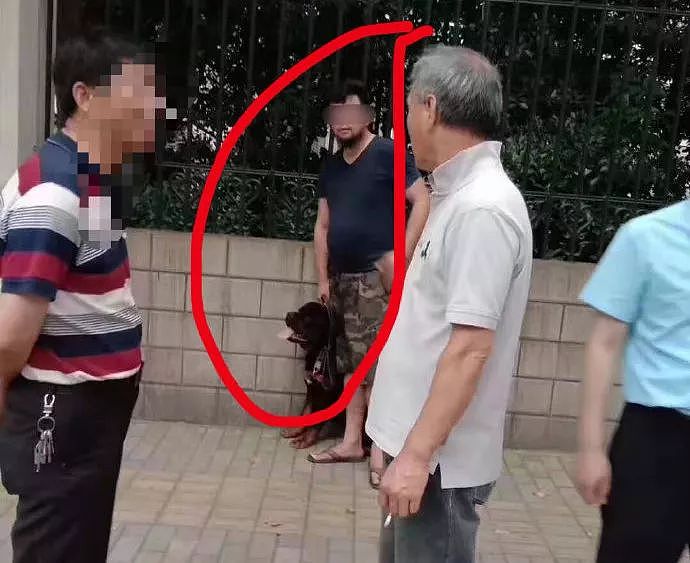 日本人遭中国大型犬撕咬 受伤女：不是狗的问题（视频/组图） - 6