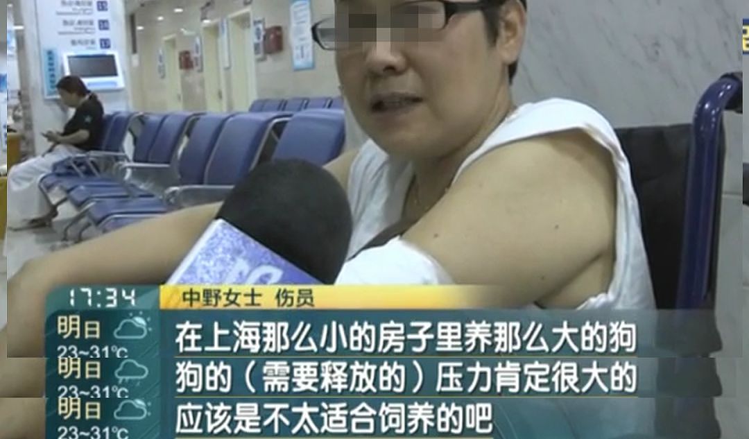 日本人遭中国大型犬撕咬 受伤女：不是狗的问题（视频/组图） - 13