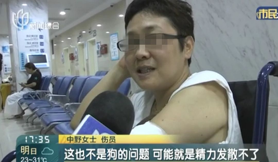 日本人遭中国大型犬撕咬 受伤女：不是狗的问题（视频/组图） - 14