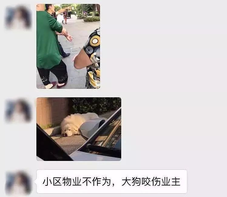 日本人遭中国大型犬撕咬 受伤女：不是狗的问题（视频/组图） - 31