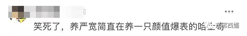 大家都错怪她了？终于明白绝世神颜的他，为啥总是红不起来了！（组图） - 10