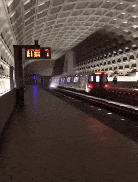 华盛顿遇罕见洪灾：白宫漏水、地铁站变水帘洞（视频/组图） - 2