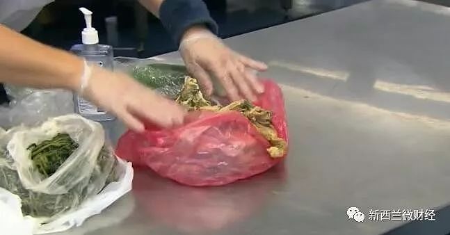 澳海关成“菜市场”，中国大妈带各式蔬菜闯关被查！偷藏香烟咸菜，还没开箱水先流出来（组图） - 23