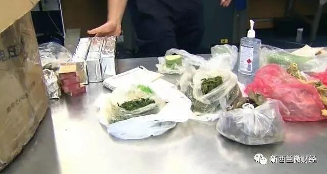 澳海关成“菜市场”，中国大妈带各式蔬菜闯关被查！偷藏香烟咸菜，还没开箱水先流出来（组图） - 30
