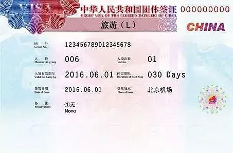 等同双国籍！华人可申请5年华裔卡！附申请攻略（组图） - 8