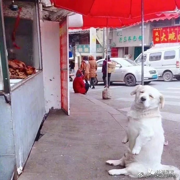 “花了30w加到了网红微信，结果见面后当场拉黑...哈哈哈哈哈哈哈（视频/组图） - 35