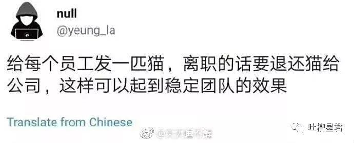 “花了30w加到了网红微信，结果见面后当场拉黑...哈哈哈哈哈哈哈（视频/组图） - 51