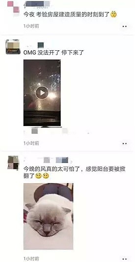 狂风暴雨冰雹，墨尔本昨夜无眠！“三重极地寒流”！Box Hill火车线落树延误，大巴车祸一死九伤！ - 9