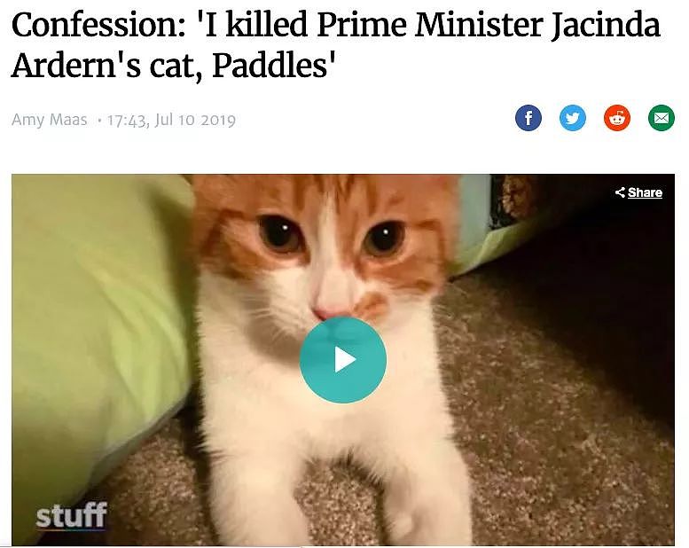 “总理的猫，是我杀的！”新西兰男子大胆讲述前因后果，让人泪目…（组图） - 3