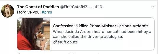“总理的猫，是我杀的！”新西兰男子大胆讲述前因后果，让人泪目…（组图） - 7