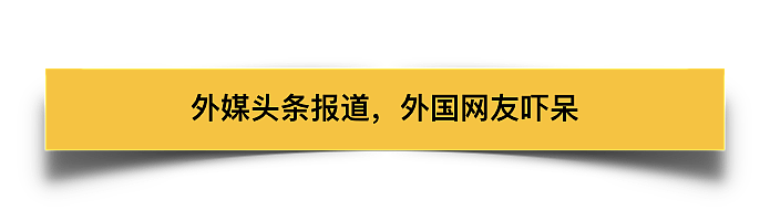 “史诗级碰瓷”中国大妈上外媒头条，美国字典多了一个新词“Peng Ci”（组图） - 11