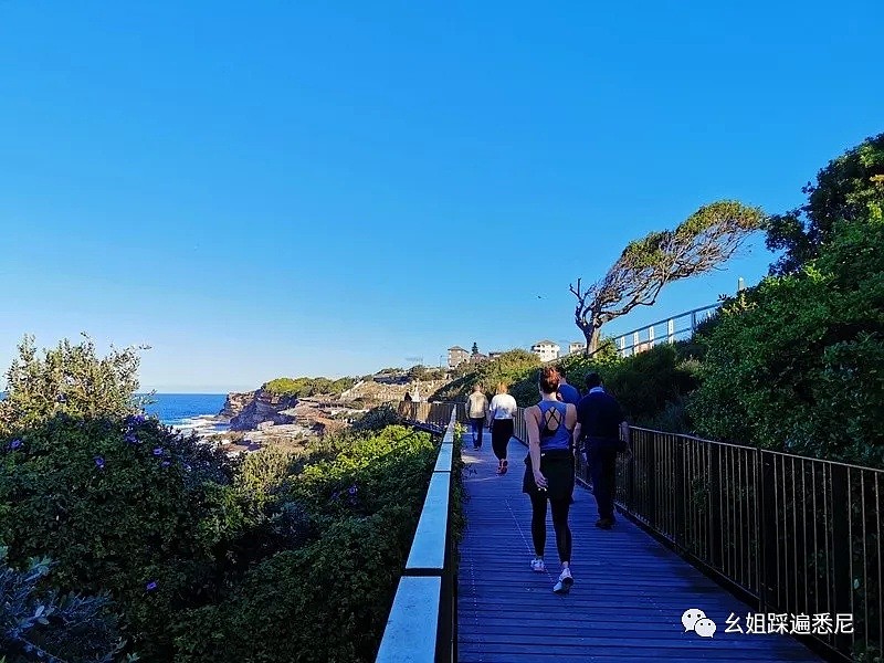 这是悉尼最美的徒步线路，不去悔终生！ - 62