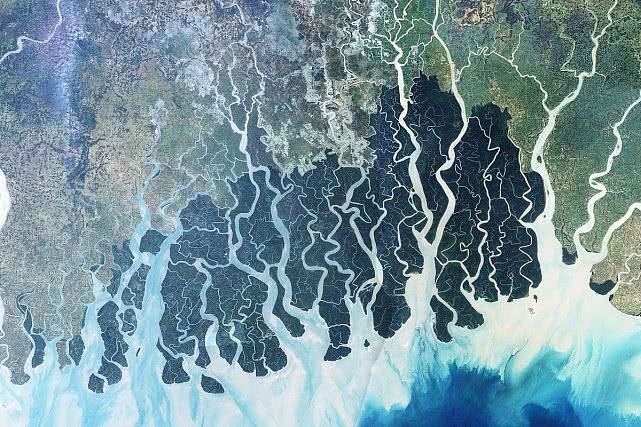 孟买在印度半岛西海岸,半岛东海岸的孙德尔本斯则规模更大,不过两者都面临开发与环境破坏的威胁（图片来自pixabay@NASA)