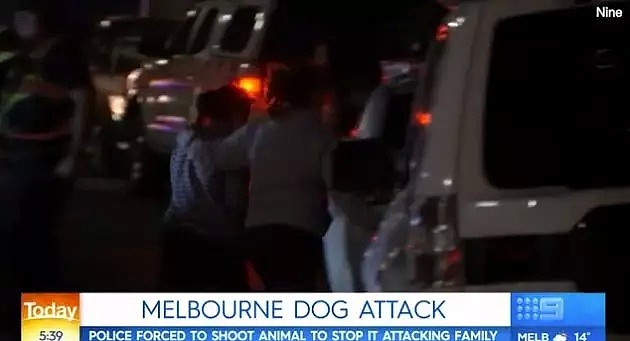 澳洲老夫妇在家中遇袭，一死一伤，喉咙被咬断！凶手竟然是家中的宠物狗.... - 6