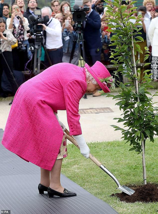 梅根十宗罪！禁止拍照奢侈生活，英国网友破口大骂：求你做个人