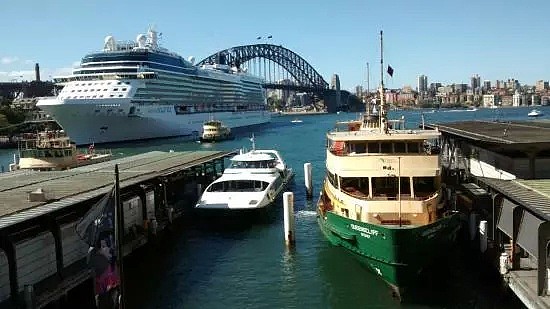 悉尼大叔每天横渡悉尼港，只为上班方便！大叔：上班交通太辣鸡了！大写加粗的爷们！ - 11