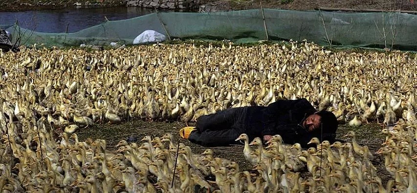 新西兰拉响了这道健康警报，然而最该重视的中国人，却还浑然不觉……（组图） - 4