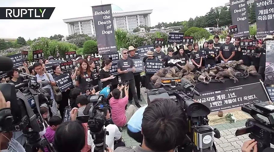 韩国人强烈抗议吃狗肉，马路对面狗贩子啃着狗肉对峙...（组图） - 1