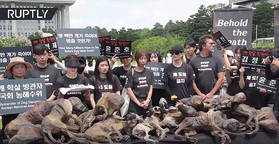 韩国人强烈抗议吃狗肉，马路对面狗贩子啃着狗肉对峙...（组图） - 3