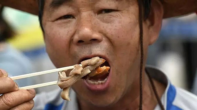 韩国人强烈抗议吃狗肉，马路对面狗贩子啃着狗肉对峙...（组图） - 6