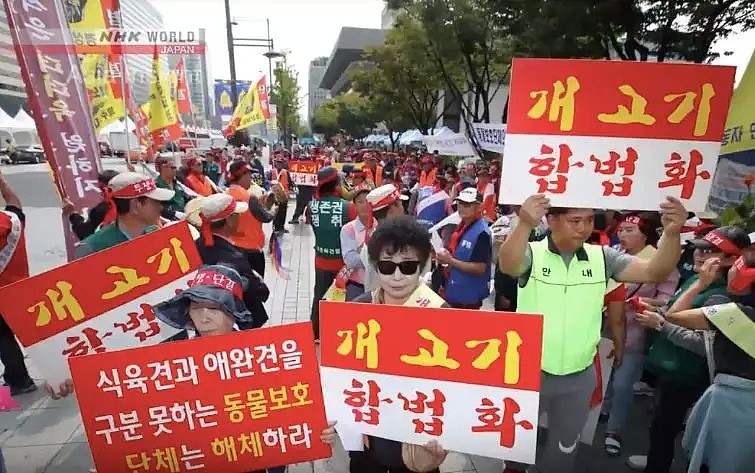 韩国人强烈抗议吃狗肉，马路对面狗贩子啃着狗肉对峙...（组图） - 7