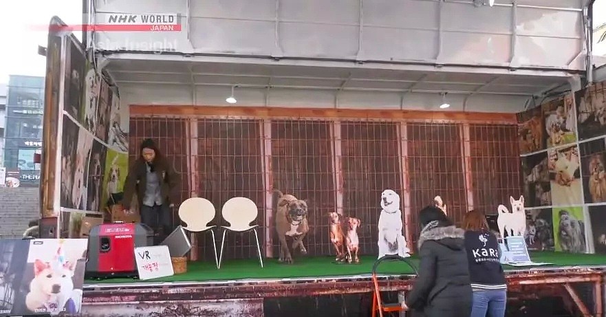 韩国人强烈抗议吃狗肉，马路对面狗贩子啃着狗肉对峙...（组图） - 9