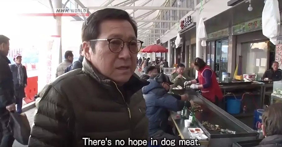 韩国人强烈抗议吃狗肉，马路对面狗贩子啃着狗肉对峙...（组图） - 11
