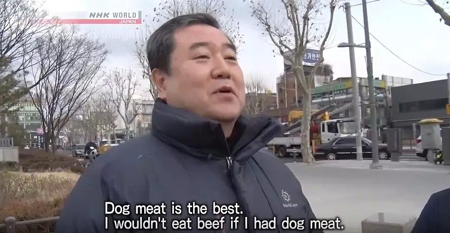 韩国人强烈抗议吃狗肉，马路对面狗贩子啃着狗肉对峙...（组图） - 17