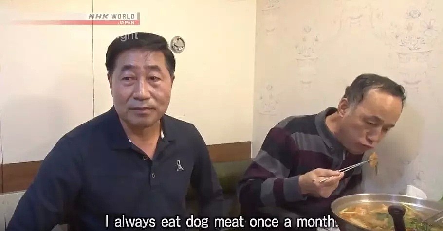 韩国人强烈抗议吃狗肉，马路对面狗贩子啃着狗肉对峙...（组图） - 19