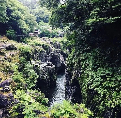 探访九州神话梦境，体验森林与河流的夏日巡礼 - 6
