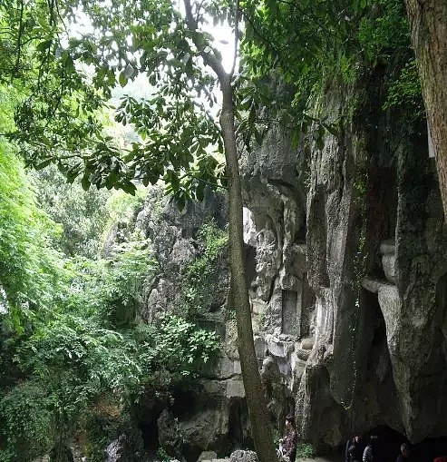 ​轰动全国！美女留学生旅游时遭随机杀害，跪下哭着求饶，结果…澳洲退休警察透露了这些保命秘密，女性必看！ - 13