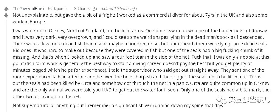 潜水爱好者的那些最诡异的水下奇遇…有些简直标准恐怖片开头…（组图） - 6