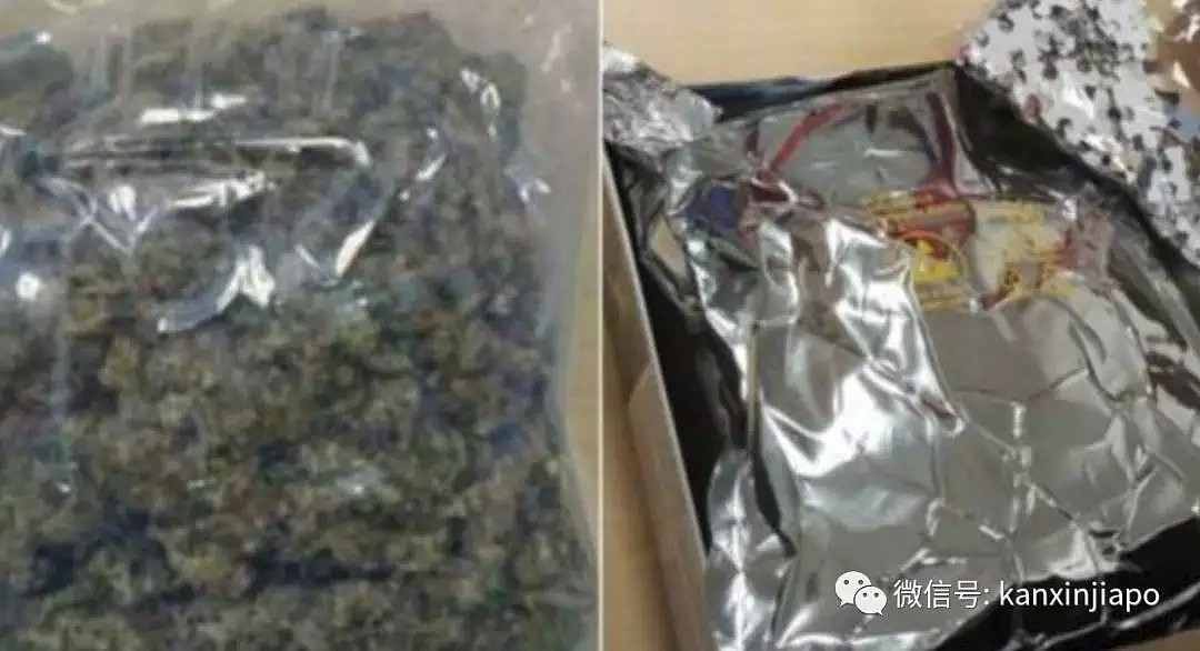 新加坡已婚男人在暗网雇佣杀手，谋杀情妇新欢！（组图） - 8