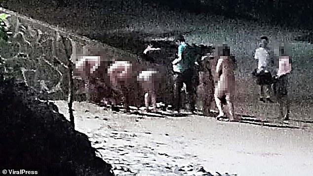 英国日本5女1男在泰国玩裸泳，刚下水就被警察逮捕，每人罚款100