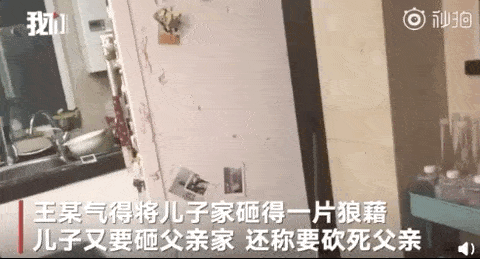 中国留学生回国，一身名牌开路虎，啃老10年！砸车砸家！掐死母亲！海归何时成了“吸血鬼”？（视频/组图） - 6