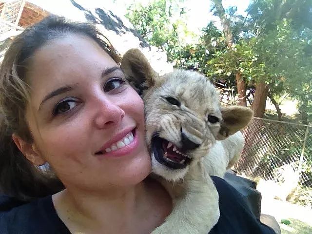 她跑去非洲养狮子，却成了她一生的噩梦，现实版狮子王，比电影残酷一万倍（组图） - 5