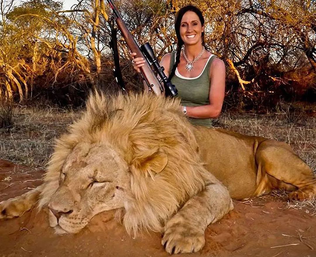她跑去非洲养狮子，却成了她一生的噩梦，现实版狮子王，比电影残酷一万倍（组图） - 23