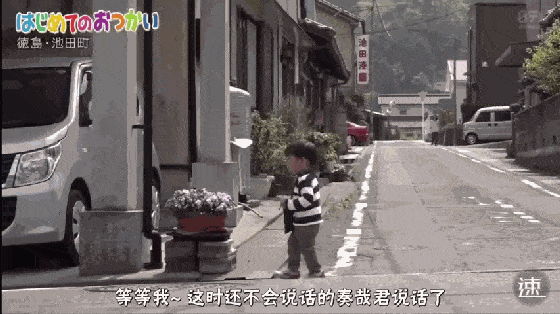 泪目！日本4岁哥哥带着2岁弟弟，为去世父亲买花：路很长，谢谢有你陪我（视频/组图） - 13