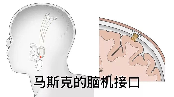 始料未及！刚刚美国突然宣布，整个微信都在刷屏！（组图） - 2